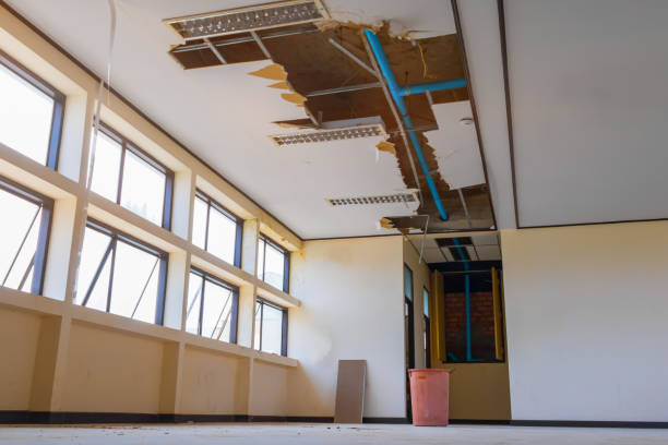 Best Water damage contractors near me  in Fort Dix, NJ