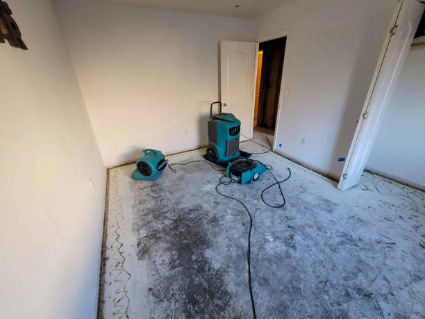 Best Carpet water damage restoration  in Fort Dix, NJ