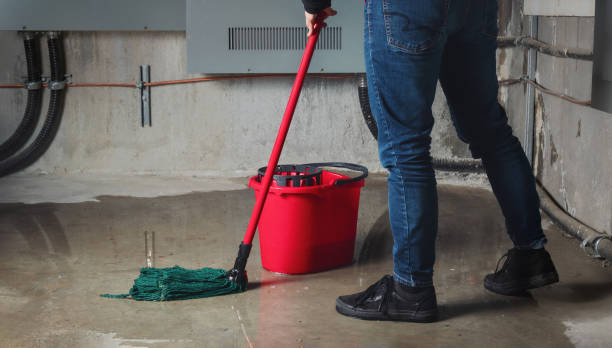 Best Mold removal after water damage  in Fort Dix, NJ