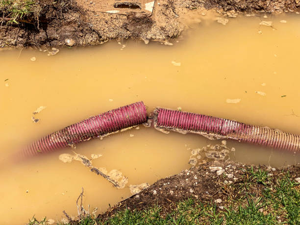 Best Mold removal after water damage  in Fort Dix, NJ
